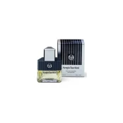 Sergio Tacchini Sergio Tacchini Eau De Toilette 27 ml (man) kaina