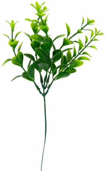 Dirbtinė šakelė, eukaliptas, žalia, 30 cm