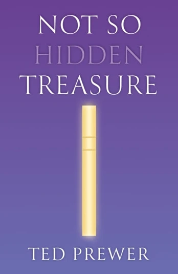 Not So Hidden Treasure