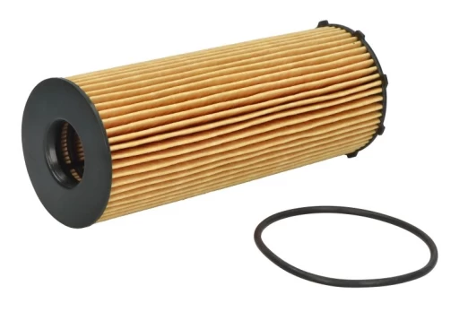 Alyvos filtras HENGST FILTER E838H D329