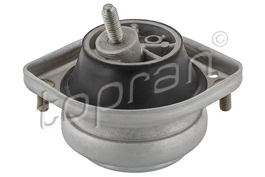 Variklio montavimas TOPRAN 500 748