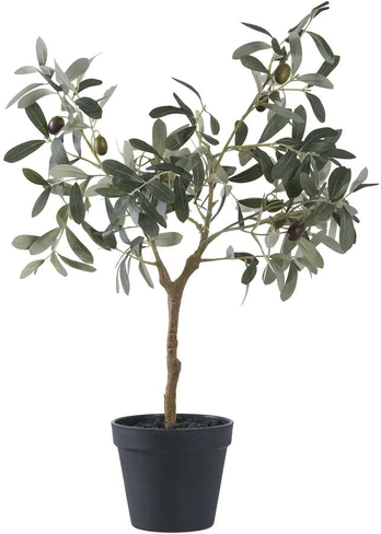 House Nordic Dirbtinis augalas - Alyvmedis - A:61 cm - Žalias.