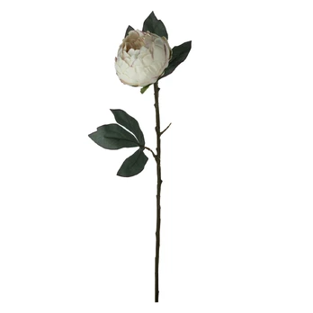 Dirbtinė gėlė ILAJA PEONY, 3 spalvų, 67 cm
