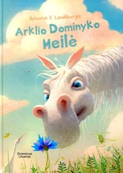 KNYGA Arklio Dominyko meilė /2018/ kaina