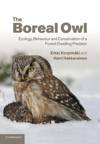 Boreal Owl