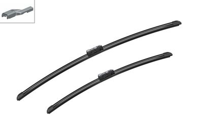 Valytuvai BOSCH 3397007088