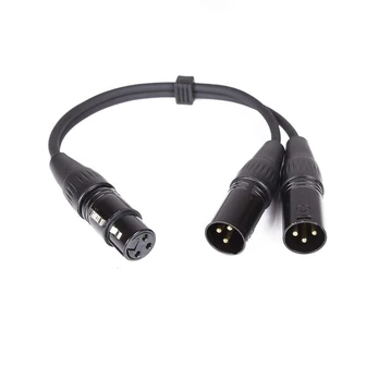 Master audio CY099