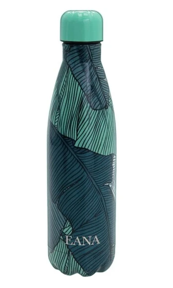 Eana Termosas/gėrimų butelis dovanų dėžutėje, žalias, 500 ml