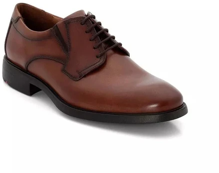 Lloyd KENTUCKY 19-360-03 batai