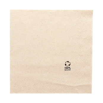 Servetėlės EKOL 30 cm., 2 sl., 100 vnt.
