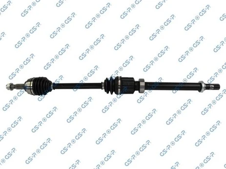 Pusašis GSP 250563