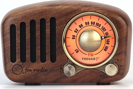 Feegar RETRO BT SD