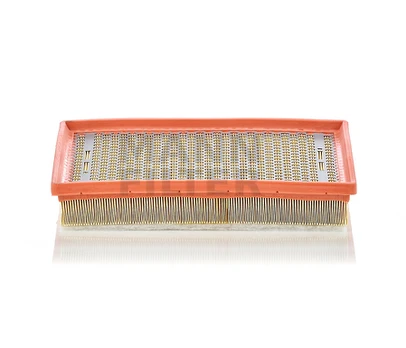 Oro filtras C30170/1