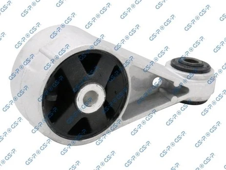 Variklio montavimas GSP 517990