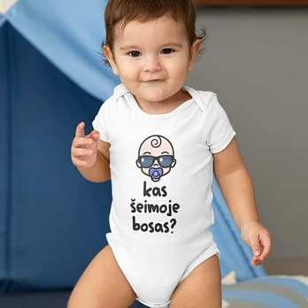 Smėlinukas "Kas šeimos bosas?"