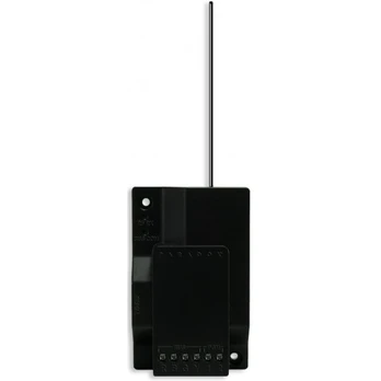 Bevielis imtuvas Paradox RX1