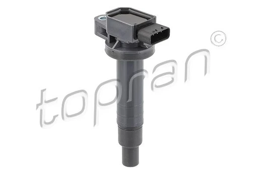 Ritė, uždegimas TOPRAN 623 905