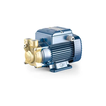 Sausai statomas periferinis siurblys Pedrollo PV90 400V