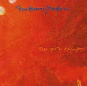 CD Peter Hammill & The Noise - There Goes The Daylight