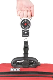 Travel Luggage Scale (TT08) kaina