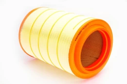 Oro filtras FILTRON AM 455/6 kaina