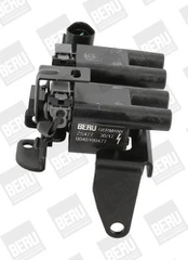 Ritė, uždegimas BorgWarner (BERU) ZS477