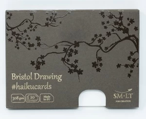 Piešimo popierius Smiltainis Bristol Drawing, 308 g/m², 20 vnt., balta
