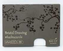 Piešimo popierius Smiltainis Bristol Drawing, 308 g/m², 20 vnt., balta kaina