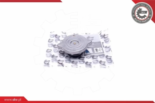 Dangtelis, radiatorius ESEN SKV 61SKV004