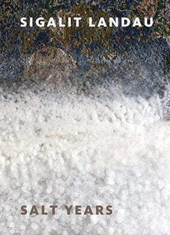 Sigalit Landau: Salt Years
