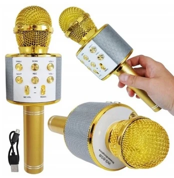 Belaidis karaoke mikrofonas su bluetooth + garsiakalbis