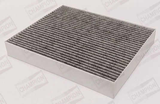 Filtras, salono oras CHAMPION CCF0518C