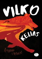 Vilko kelias kaina
