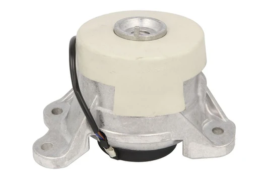 Variklio montavimas TEDGUM TED36222