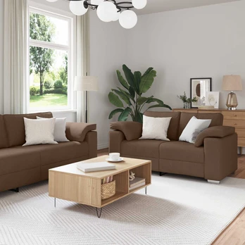 2 dalių sofa su pagalvėlėmis ruda apmušalu