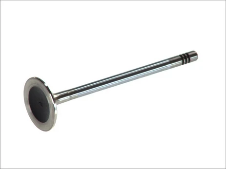 FRECCIA 6309/BMCR Exhaust valve