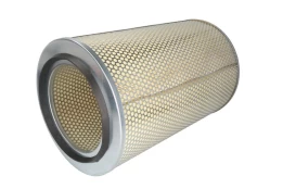 Oro filtras FILTRON AM401/1 kaina