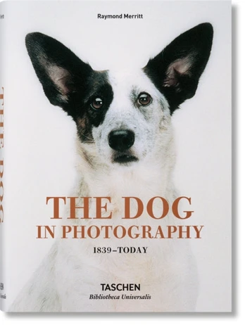 Dog in Photography 1839–Today