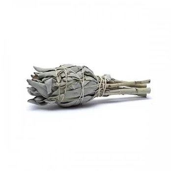 Baltasis šalavijas (White Sage). Dydis M