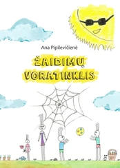 Žaidimų voratinklis kaina