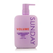 Xpel S.U.N.D.A.Y 350ml kaina