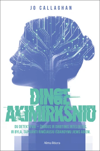 Dingę akimirksniu