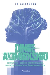 Dingę akimirksniu kaina
