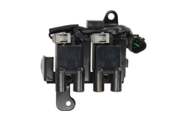 DELPHI GN10829-12B1 Ignition coil kaina