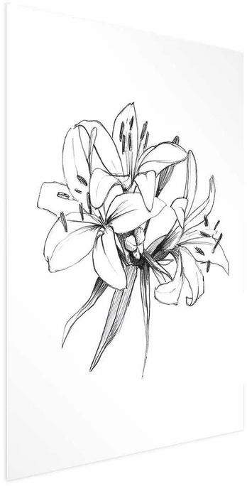 Artgeist Plakatas - Drawn Flowers