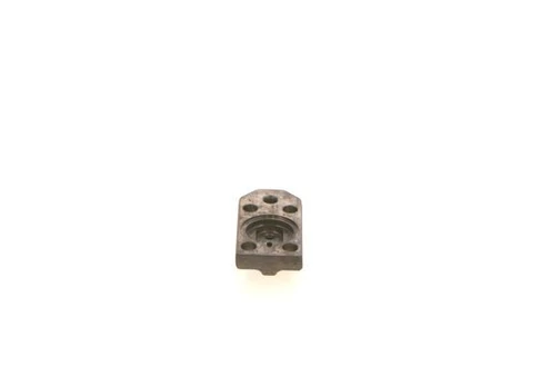 Cilindro galvutė BOSCH F 00R 0P1 732