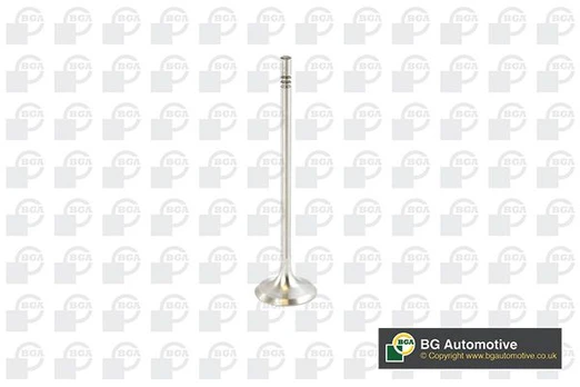 Įvado vožtuvas BGA V016839