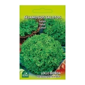 SĖJAMOSIOS SALOTOS LOLLO BIONDA kaina