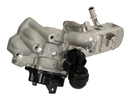 ERG modulis VALEO 700451