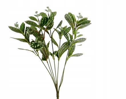 Dirbtinis augalas Scindapsus terariumui
